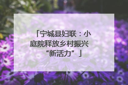 宁城县妇联：小庭院释放乡村振兴“新活力”