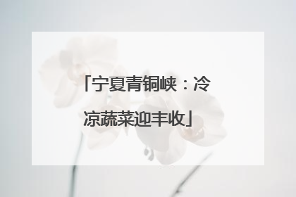 宁夏青铜峡：冷凉蔬菜迎丰收