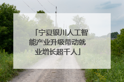 宁夏银川人工智能产业升级带动就业增长超千人