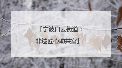宁波白云街道：非遗匠心助共富