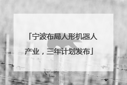 宁波布局人形机器人产业，三年计划发布