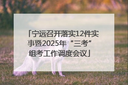 宁远召开落实12件实事暨2025年“三考”组考工作调度会议