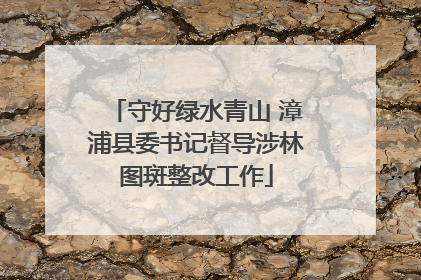 守好绿水青山 漳浦县委书记督导涉林图斑整改工作