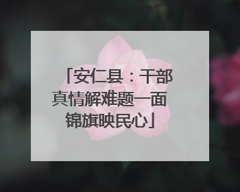 安仁县：干部真情解难题一面锦旗映民心