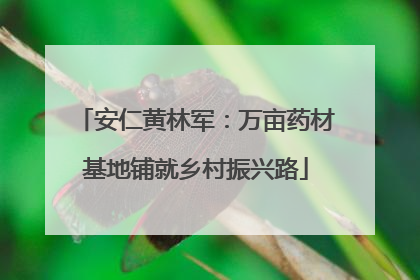 安仁黄林军：万亩药材基地铺就乡村振兴路