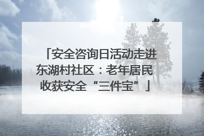 安全咨询日活动走进东湖村社区：老年居民收获安全“三件宝”