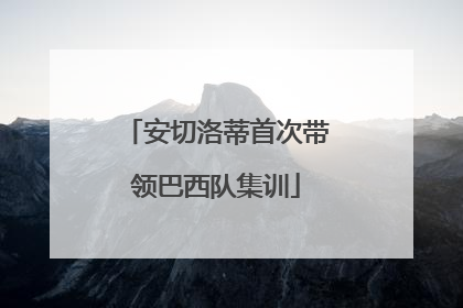 安切洛蒂首次带领巴西队集训