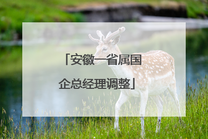 安徽一省属国企总经理调整