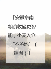 安徽阜南：粮食收储更智能，小麦入仓“不落地”（组图）