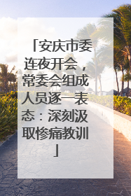 安庆市委连夜开会，常委会组成人员逐一表态：深刻汲取惨痛教训