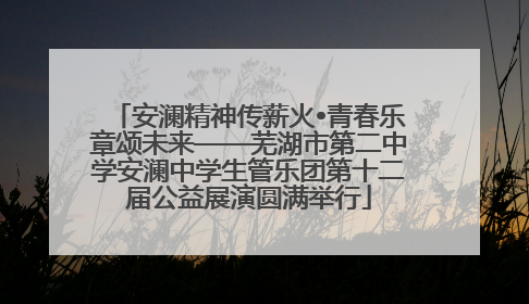 安澜精神传薪火•青春乐章颂未来——芜湖市第二中学安澜中学生管乐团第十二届公益展演圆满举行