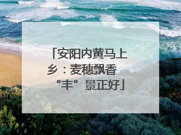 安阳内黄马上乡：麦穗飘香 “丰”景正好