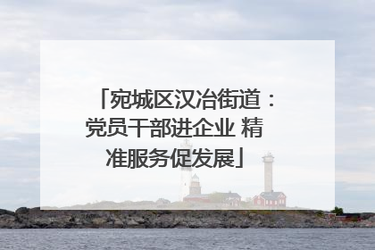 宛城区汉冶街道：党员干部进企业 精准服务促发展