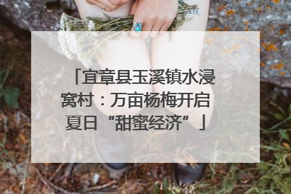 宜章县玉溪镇水浸窝村：万亩杨梅开启夏日“甜蜜经济”
