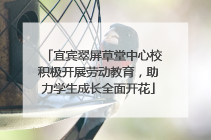宜宾翠屏草堂中心校积极开展劳动教育，助力学生成长全面开花
