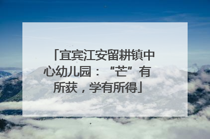 宜宾江安留耕镇中心幼儿园：“芒”有所获，学有所得