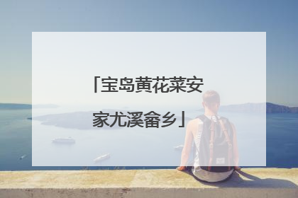 宝岛黄花菜安家尤溪畲乡