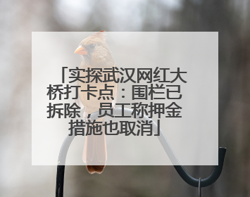 实探武汉网红大桥打卡点：围栏已拆除，员工称押金措施也取消