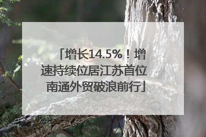 增长14.5%！增速持续位居江苏首位 南通外贸破浪前行