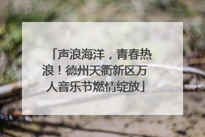 声浪海洋，青春热浪！德州天衢新区万人音乐节燃情绽放