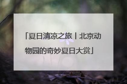 夏日清凉之旅丨北京动物园的奇妙夏日大赏