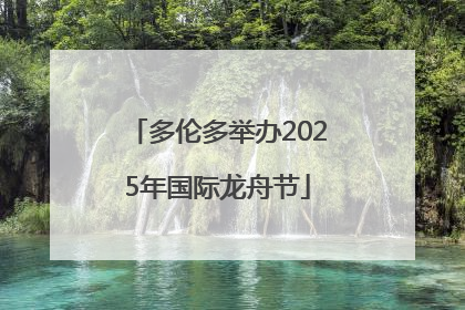 多伦多举办2025年国际龙舟节