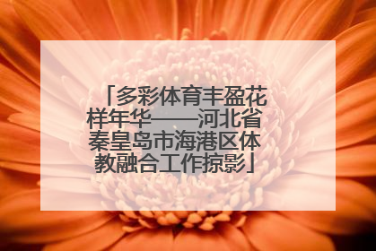 多彩体育丰盈花样年华——河北省秦皇岛市海港区体教融合工作掠影