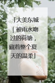 大美东城｜被雨水吻过的荷塘，藏着整个夏天的温柔