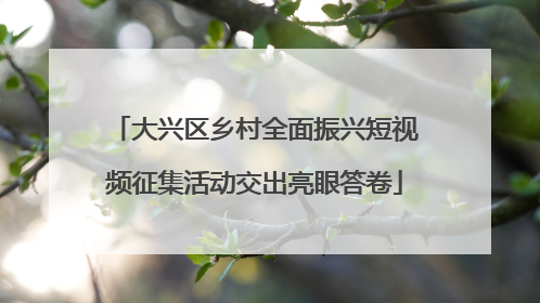 大兴区乡村全面振兴短视频征集活动交出亮眼答卷