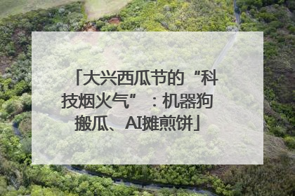 大兴西瓜节的“科技烟火气”：机器狗搬瓜、AI摊煎饼