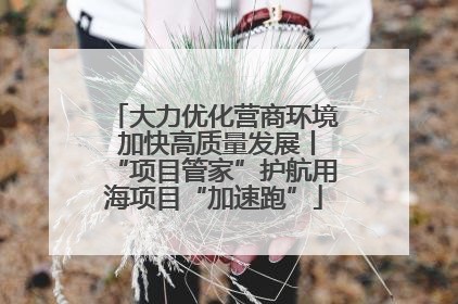大力优化营商环境 加快高质量发展丨“项目管家”护航用海项目“加速跑”