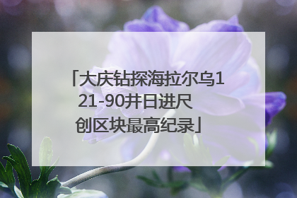大庆钻探海拉尔乌121-90井日进尺 创区块最高纪录