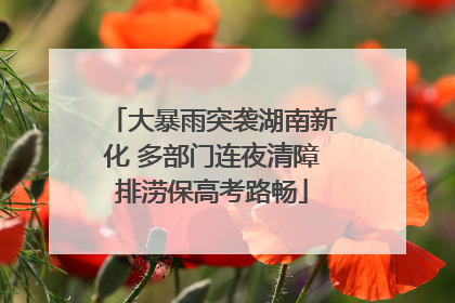 大暴雨突袭湖南新化 多部门连夜清障排涝保高考路畅