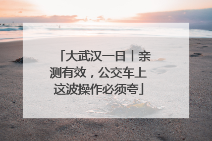 大武汉一日丨亲测有效，公交车上这波操作必须夸