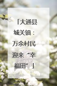 大通县城关镇：万余村民迎来“幸福田”