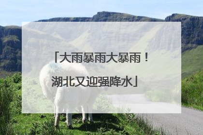 大雨暴雨大暴雨！湖北又迎强降水