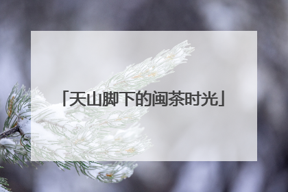 天山脚下的闽茶时光