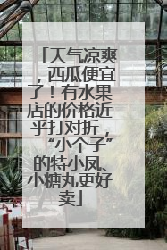 天气凉爽，西瓜便宜了！有水果店的价格近乎打对折，“小个子”的特小凤、小糖丸更好卖