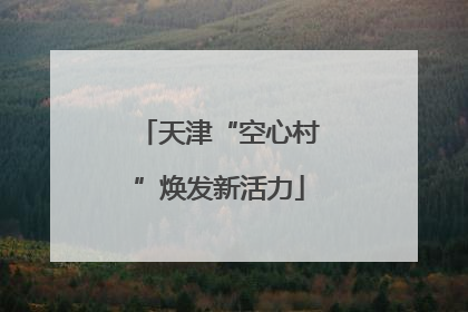 天津“空心村”焕发新活力