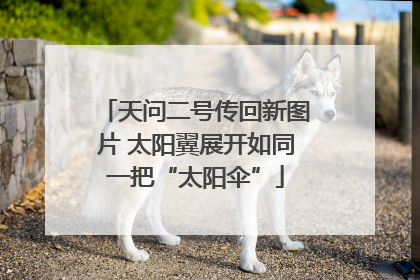 天问二号传回新图片 太阳翼展开如同一把“太阳伞”
