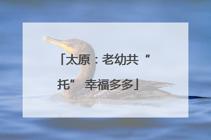 太原：老幼共“托” 幸福多多