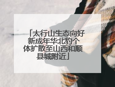太行山生态向好 新成年华北豹个体扩散至山西和顺县城附近