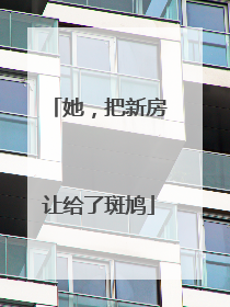 她，把新房让给了斑鸠