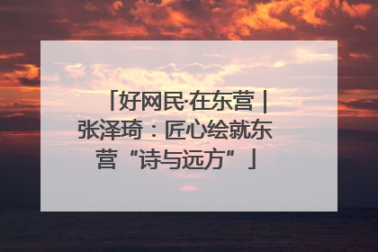 好网民·在东营｜张泽琦：匠心绘就东营“诗与远方”