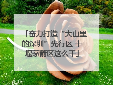 奋力打造“大山里的深圳”先行区 十堰茅箭区这么干