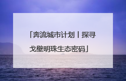 奔流城市计划丨探寻戈壁明珠生态密码