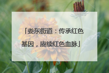 娄东街道：传承红色基因，赓续红色血脉