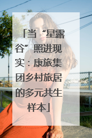 当“星露谷”照进现实：康旅集团乡村旅居的多元共生样本