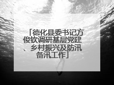 德化县委书记方俊钦调研基层党建、乡村振兴及防汛备汛工作