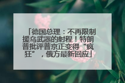 德国总理：不再限制援乌武器的射程！特朗普批评普京正变得“疯狂”，俄方最新回应